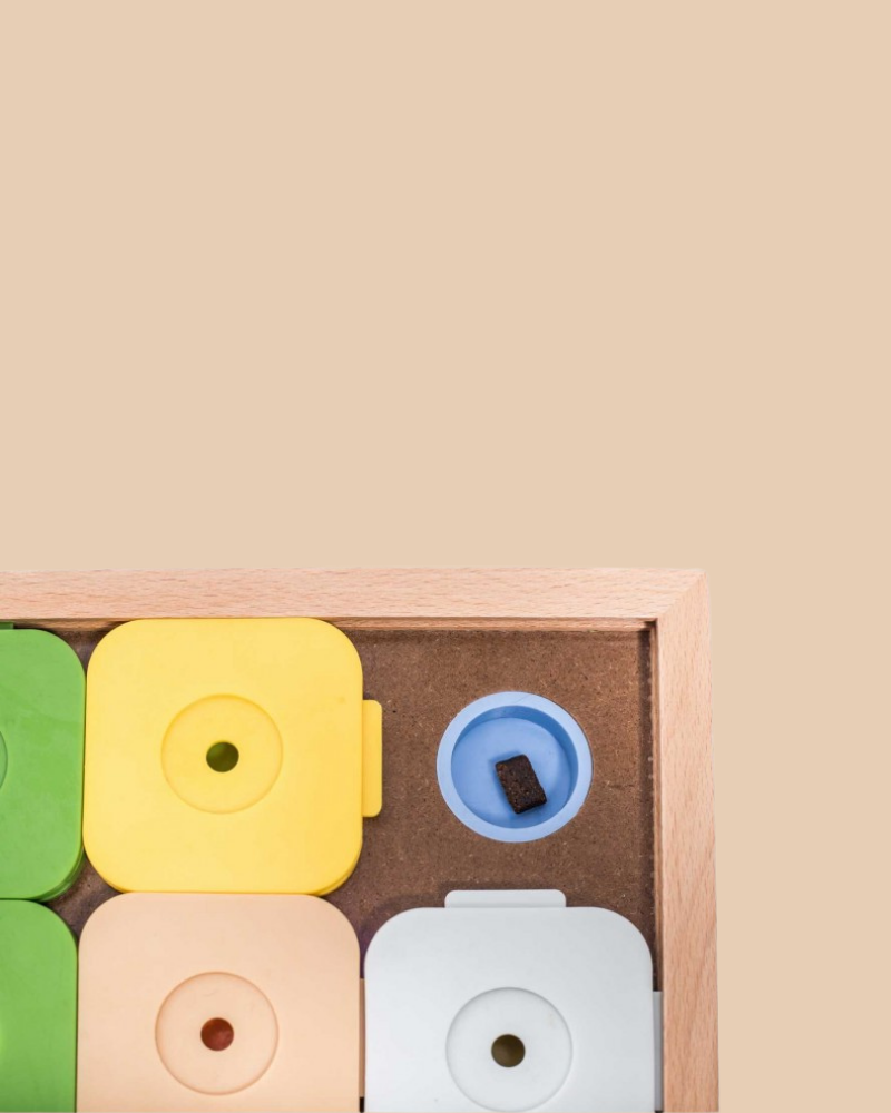 Sudoku Dog Treat Puzzle Game in Rainbow Edition (16 squares)