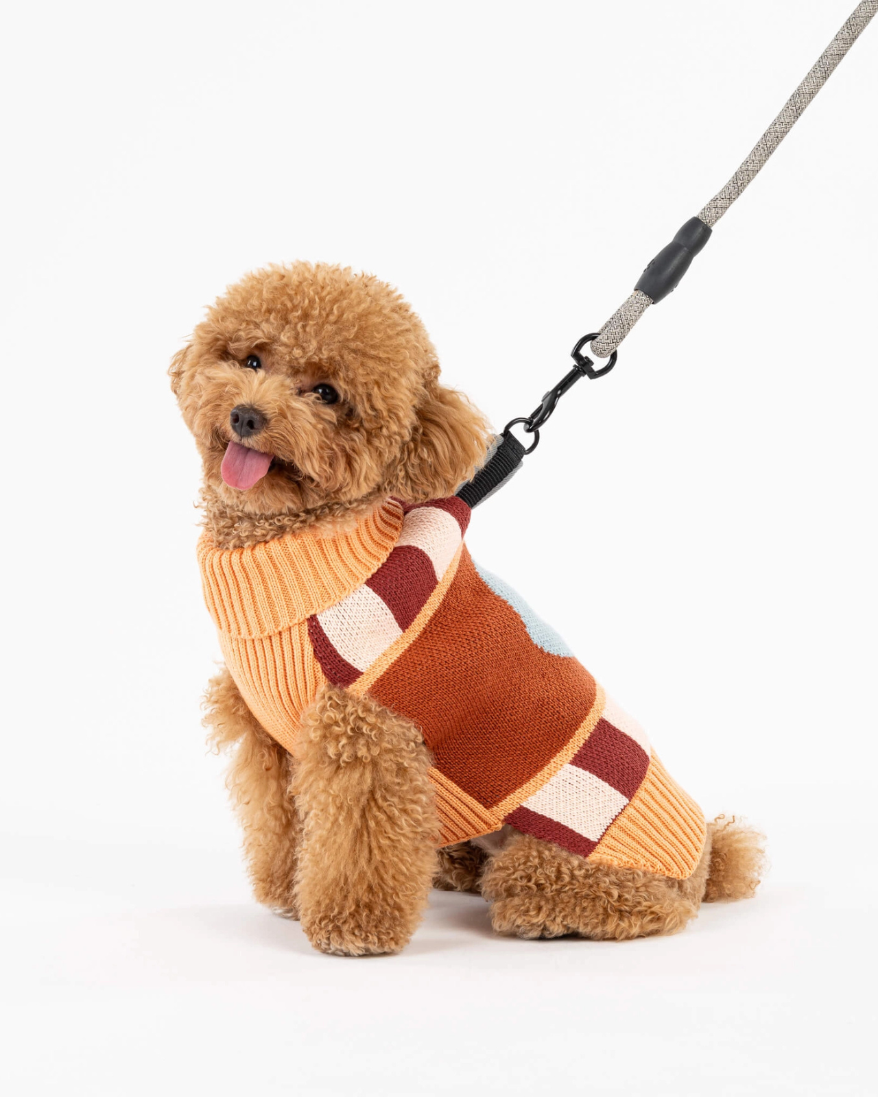 Stripe Dot Dog Sweater