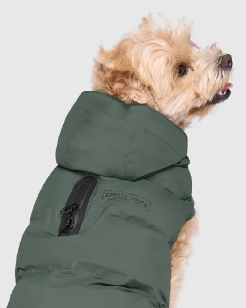 Waterproof Dog Puffer in Forest Green
