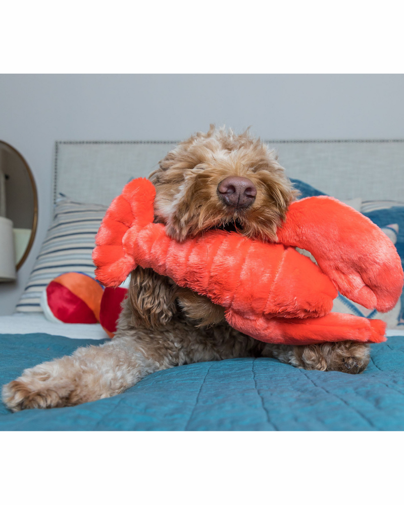 Manny the Lobster Plush Dog Toy