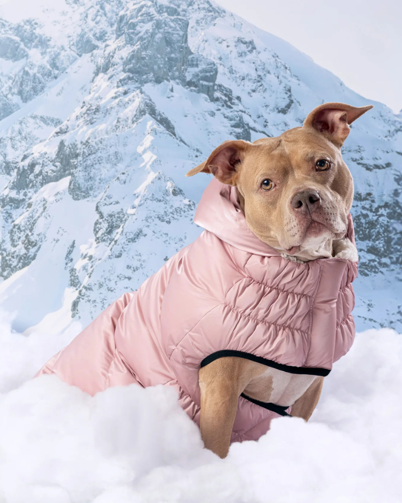 Lunar Glow Dog Parka in Pink