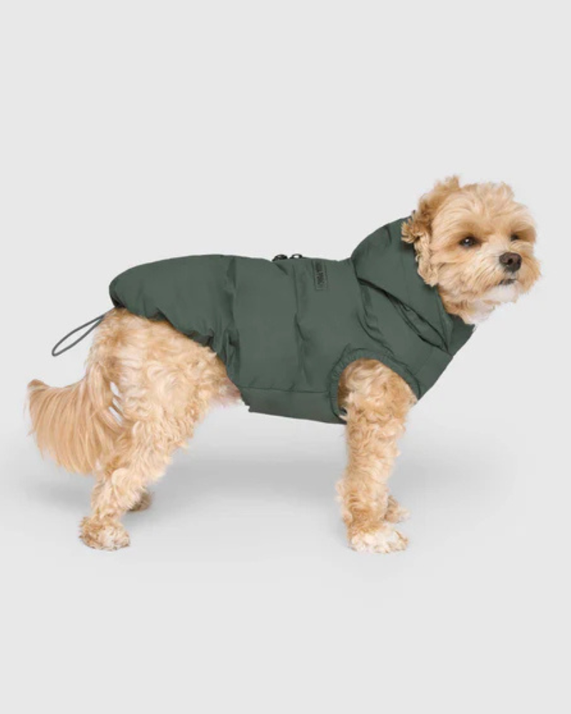 Waterproof Dog Puffer in Forest Green