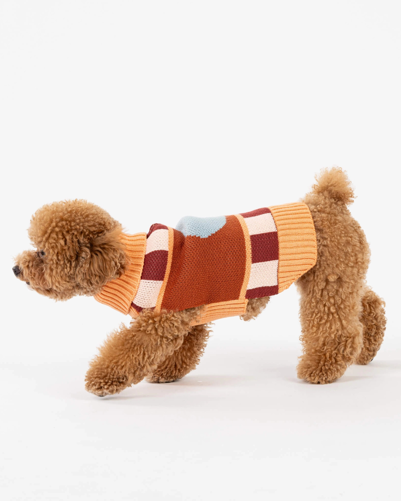 Stripe Dot Dog Sweater