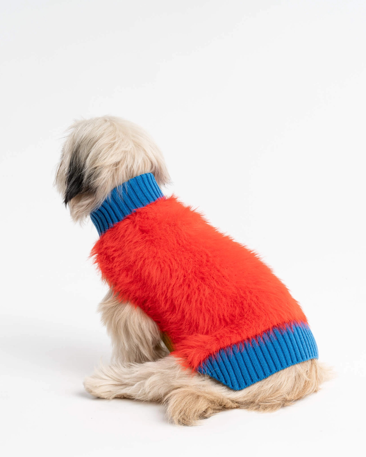 Faux Fur Dog Sweater in Poppy
