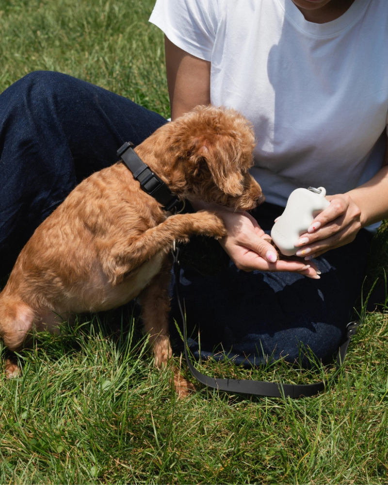 Silicone Dog Treat Dispenser