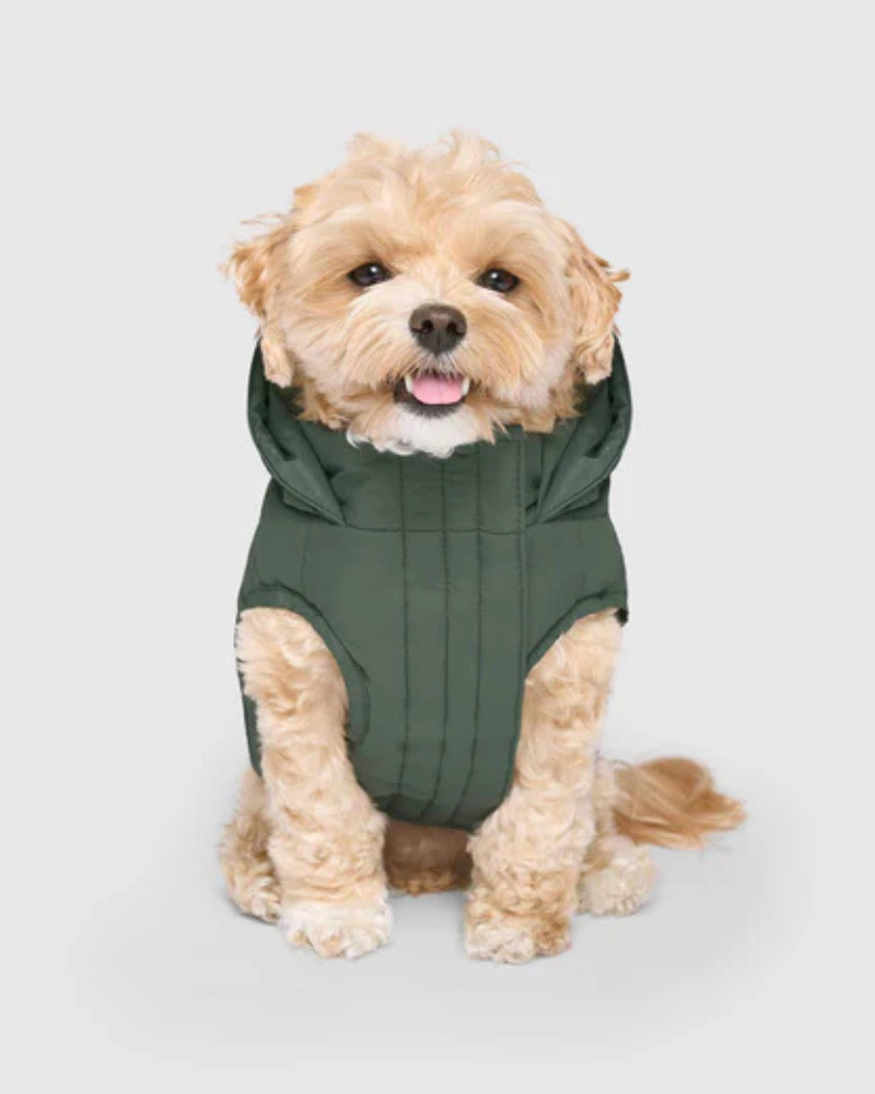 Waterproof Dog Puffer in Forest Green