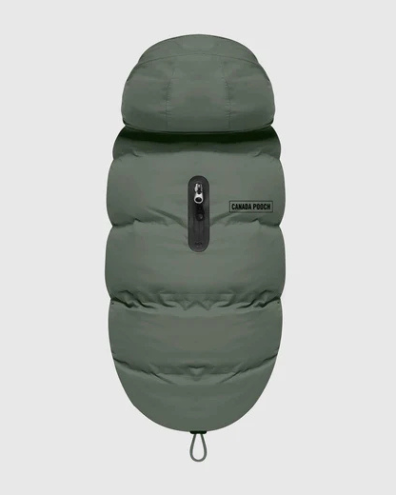 Waterproof Dog Puffer in Forest Green