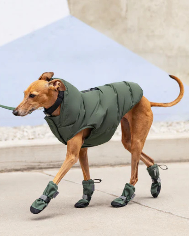 Waterproof Dog Puffer in Forest Green