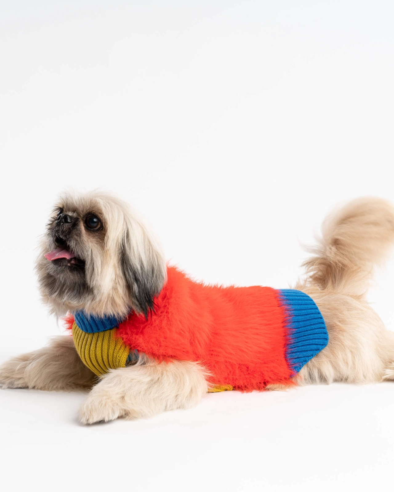 Faux Fur Dog Sweater in Poppy