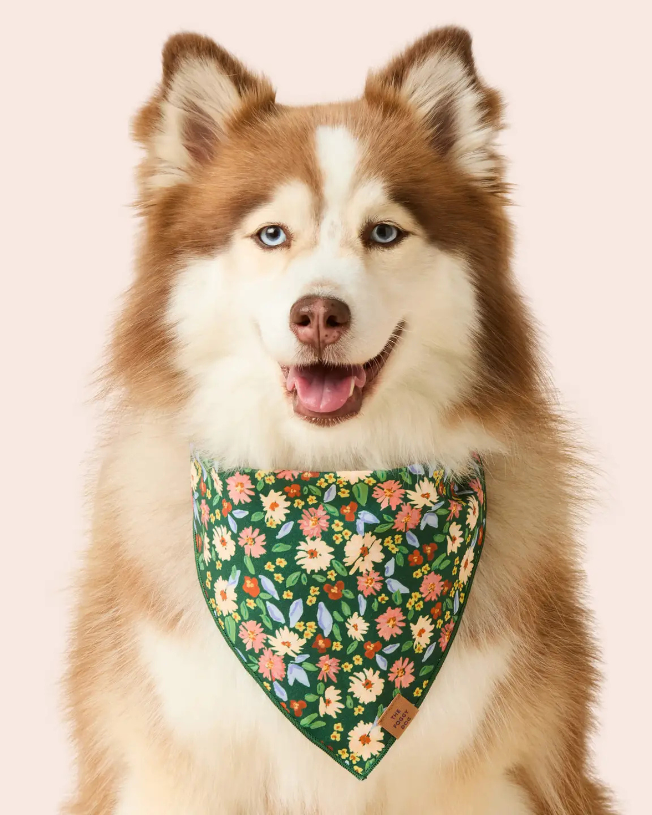 Secret Garden Dog Bandana (Made in the USA)