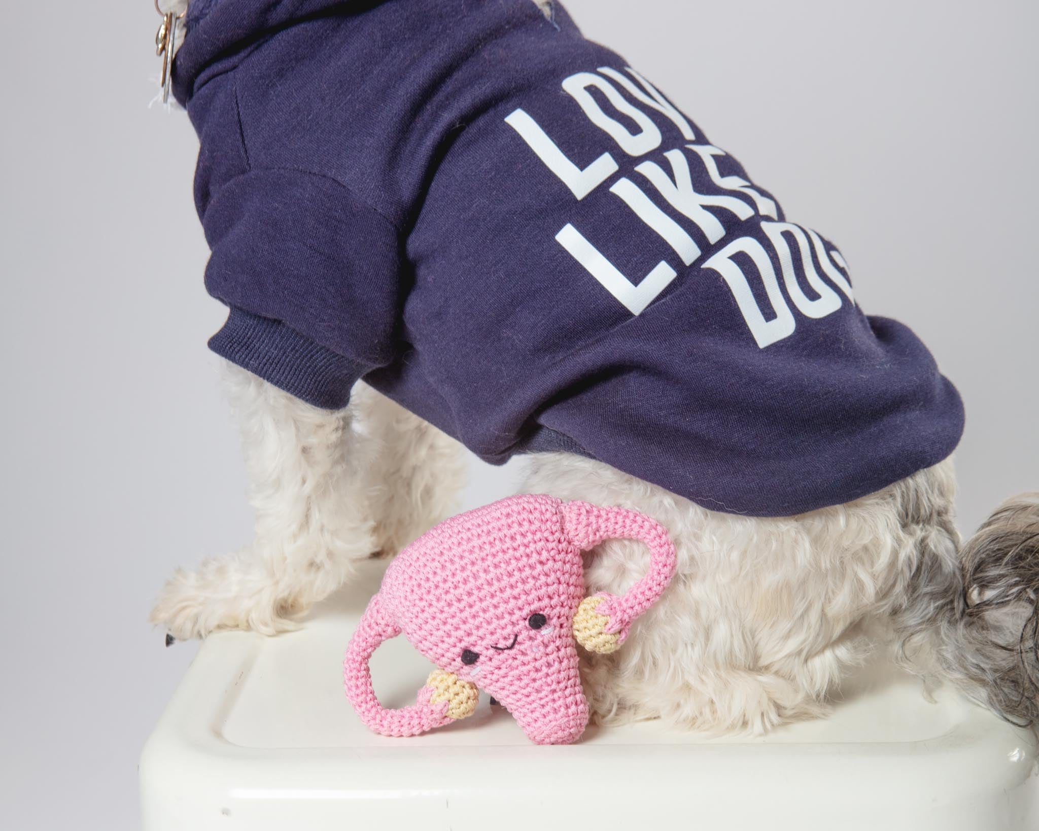 Super Uterus Knit Dog Toy (Proceeds Benefit the ACLU)