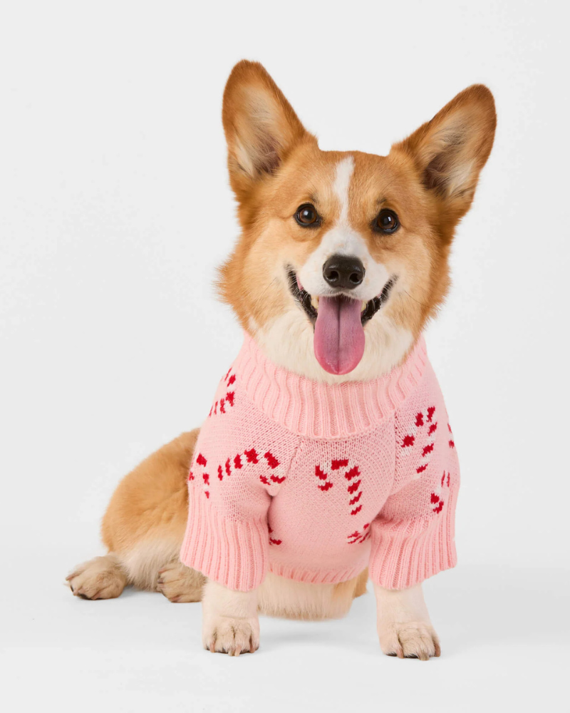 Pink Candy Cane Dog Sweater