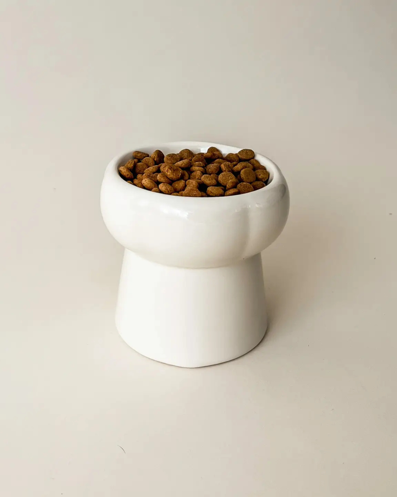 Elevated Pet Food Bowl in Creamy Beige