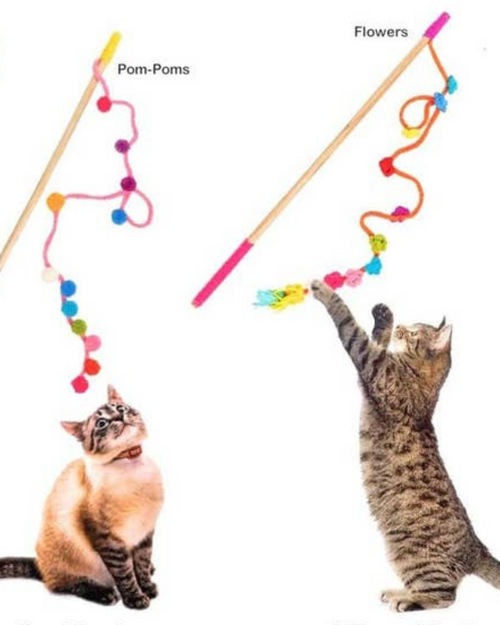 Wooly Wand for Cats