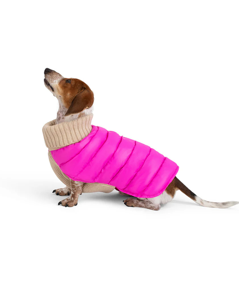 The Puffer Dog Sweater in Tan & Pink