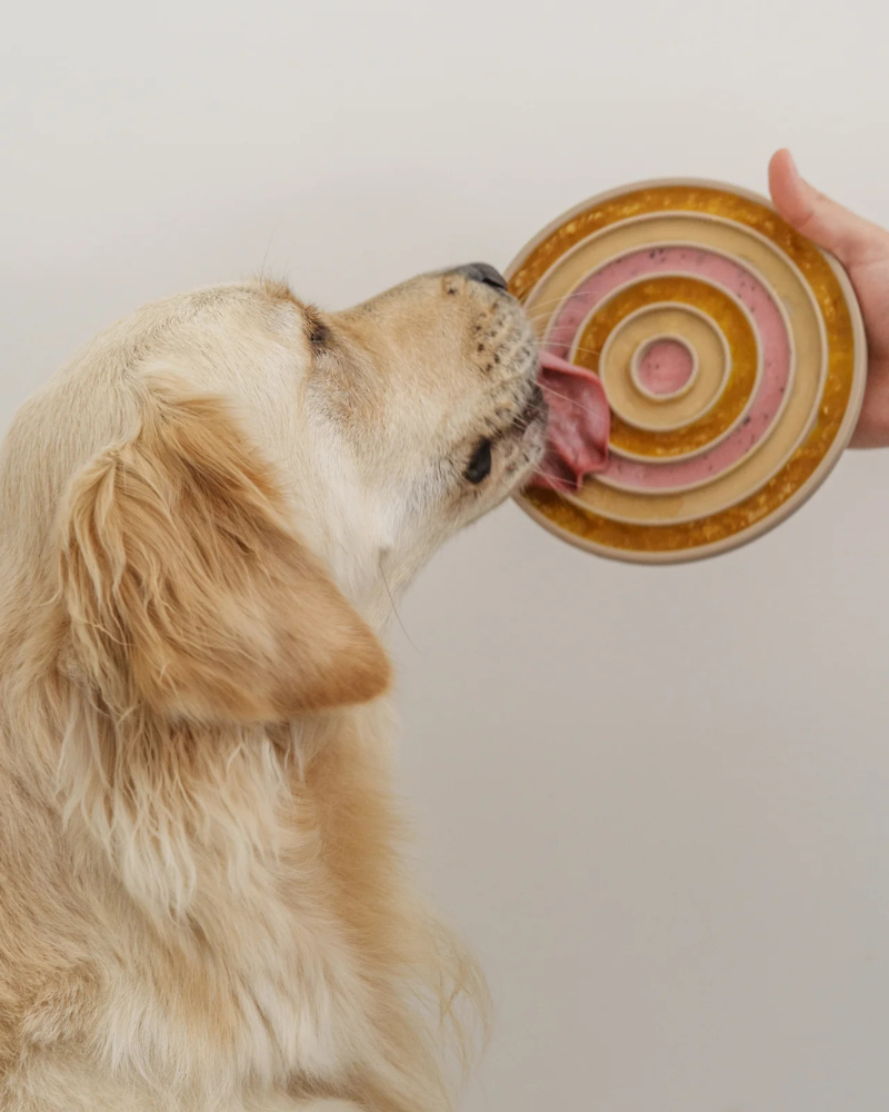 3-in-1 Bento Elevated Slow Feeder + Lick Mat