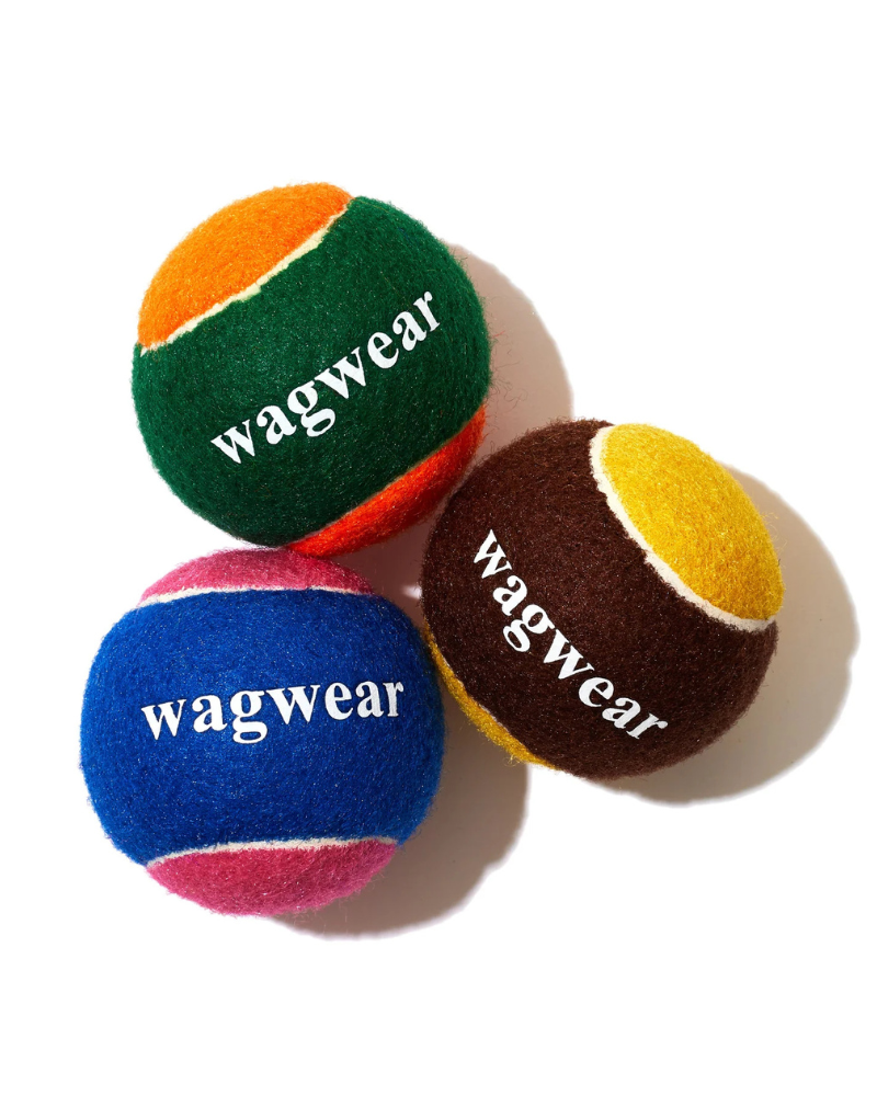 Go Get the Ball! Dog Toy (3-Pack)