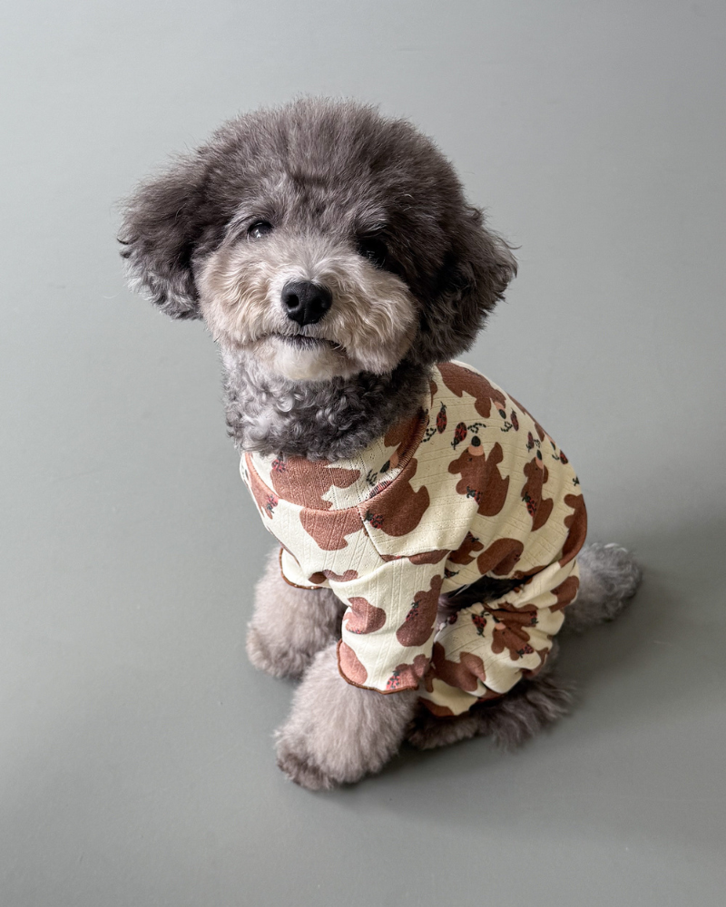 Bear & Ladybug Dog Onesie