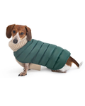 The Puffer Dog Sweater in Tan & Green