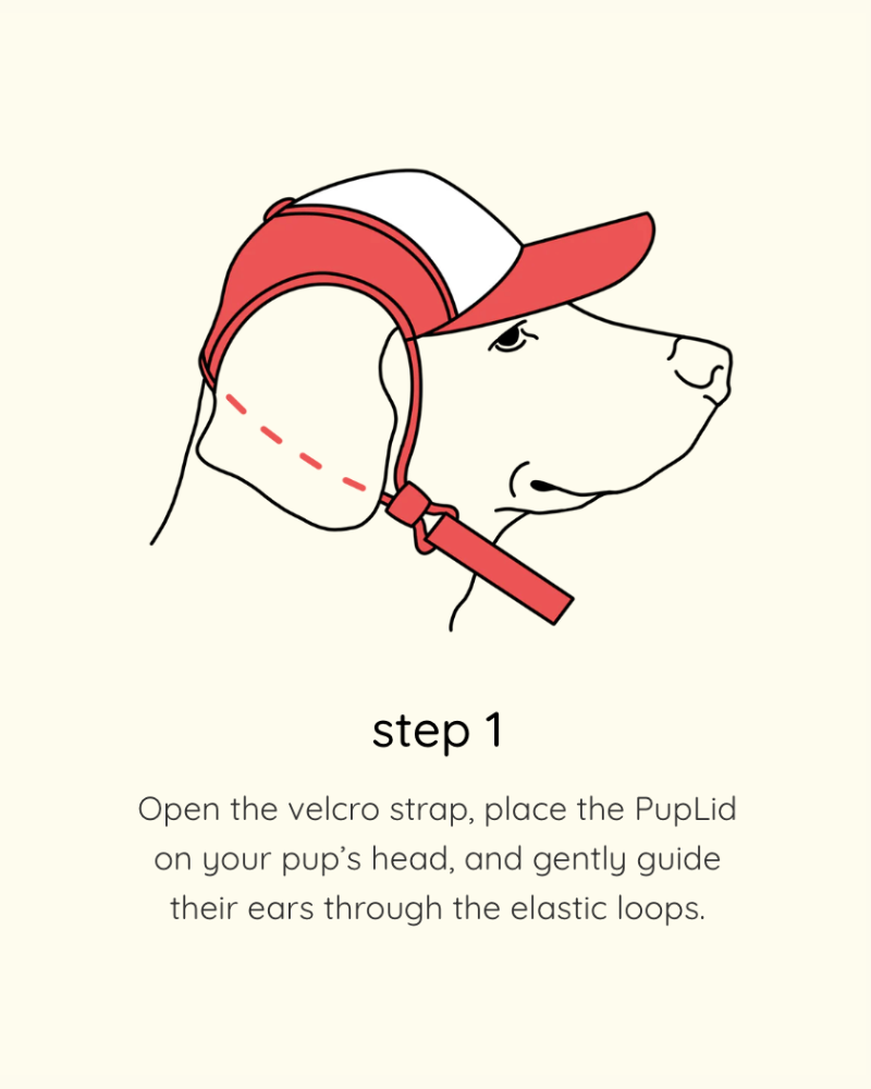 Smiley Face Pet Trucker Hat