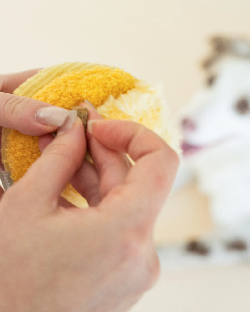 Toto Silent Interactive Snuffle Ball