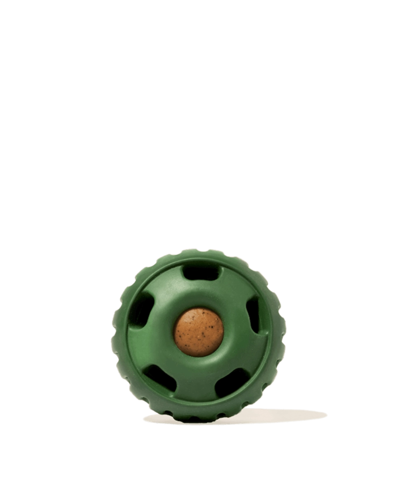 The Pupsicle Enrichment Dog Toy