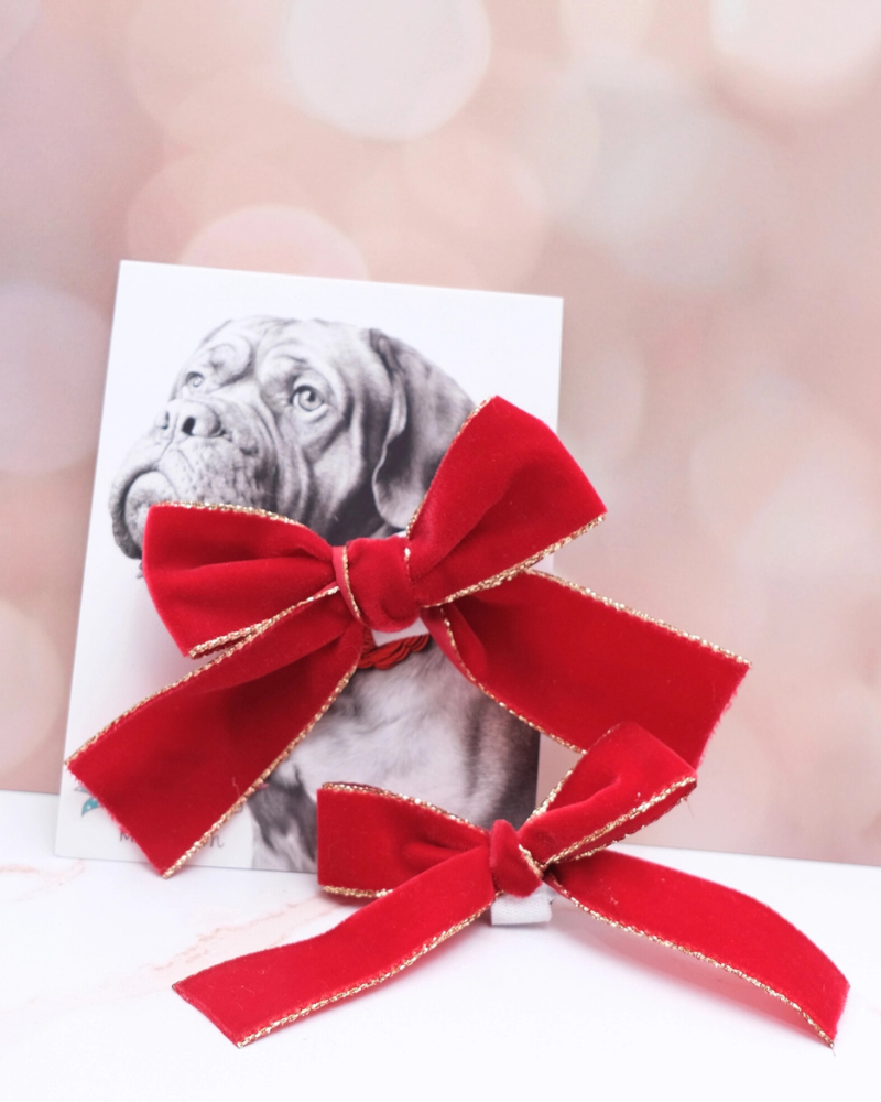 Holiday Velvet Ribbon Dog Bow (Made in the USA)