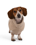 The Cashmere Puffer Dog Sweater in Tan