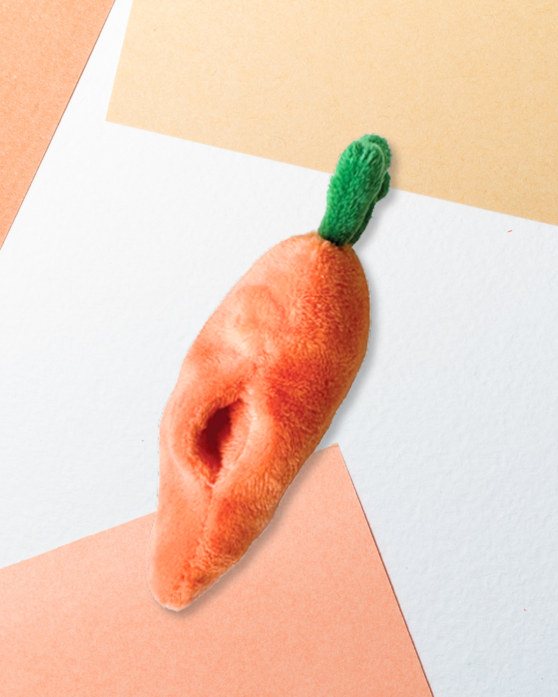 Turkey Burrow Dog Toy