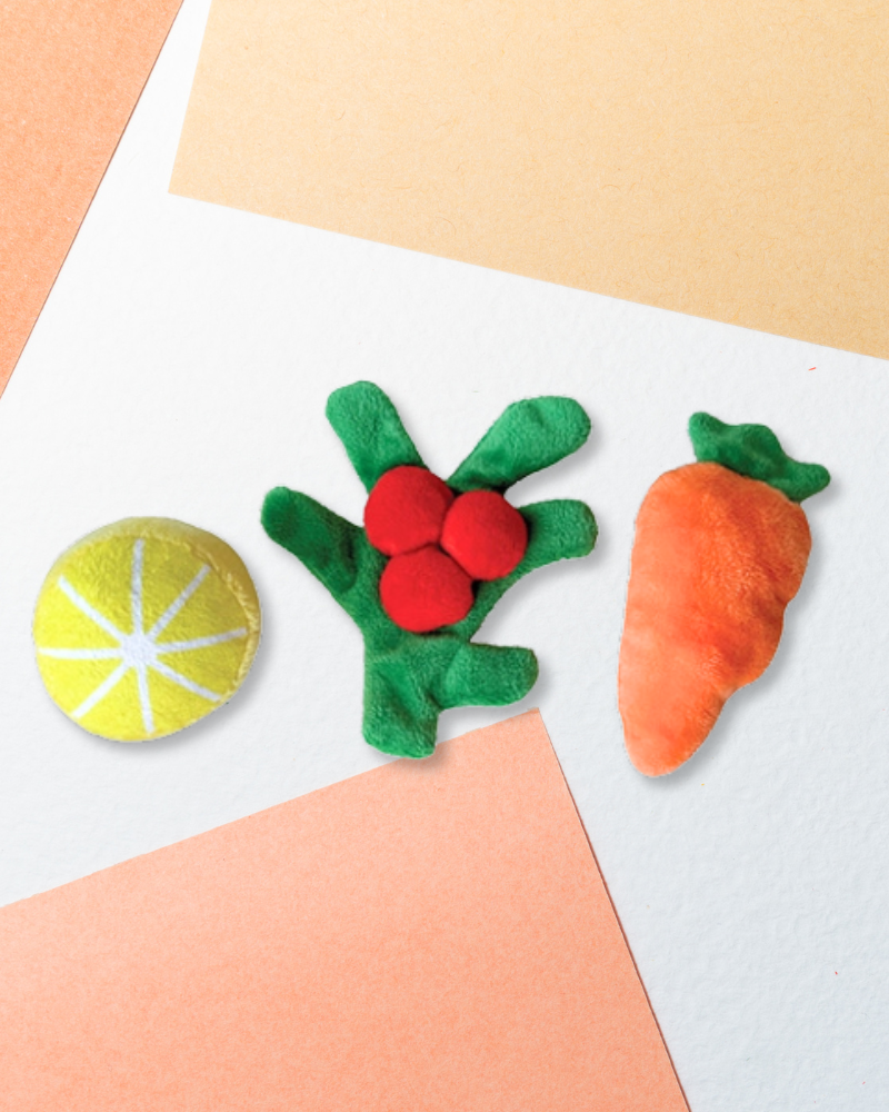 Turkey Burrow Dog Toy