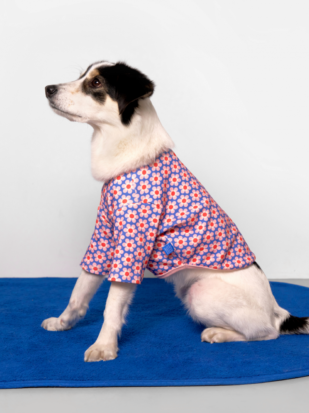 Pink Lotus Dog Shirt