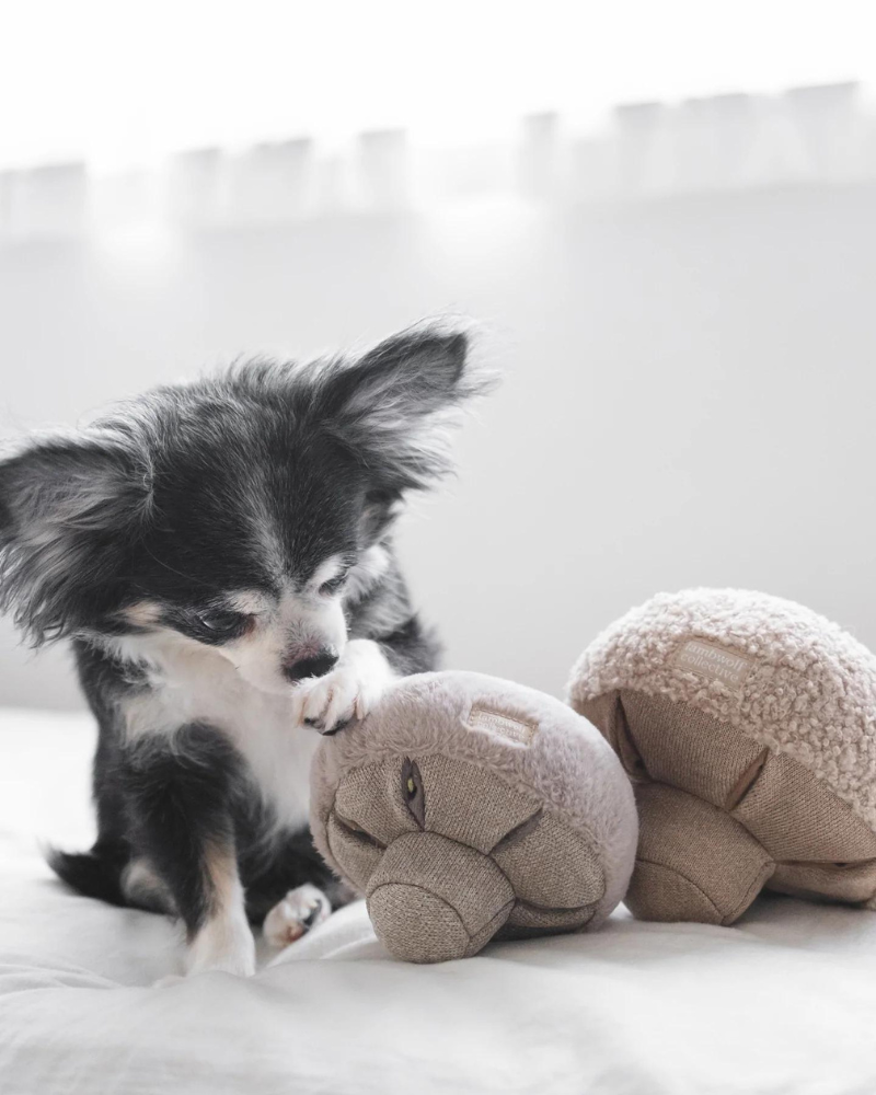 GUU Mushroom Nosework Interactive Toy for Dogs & Cats