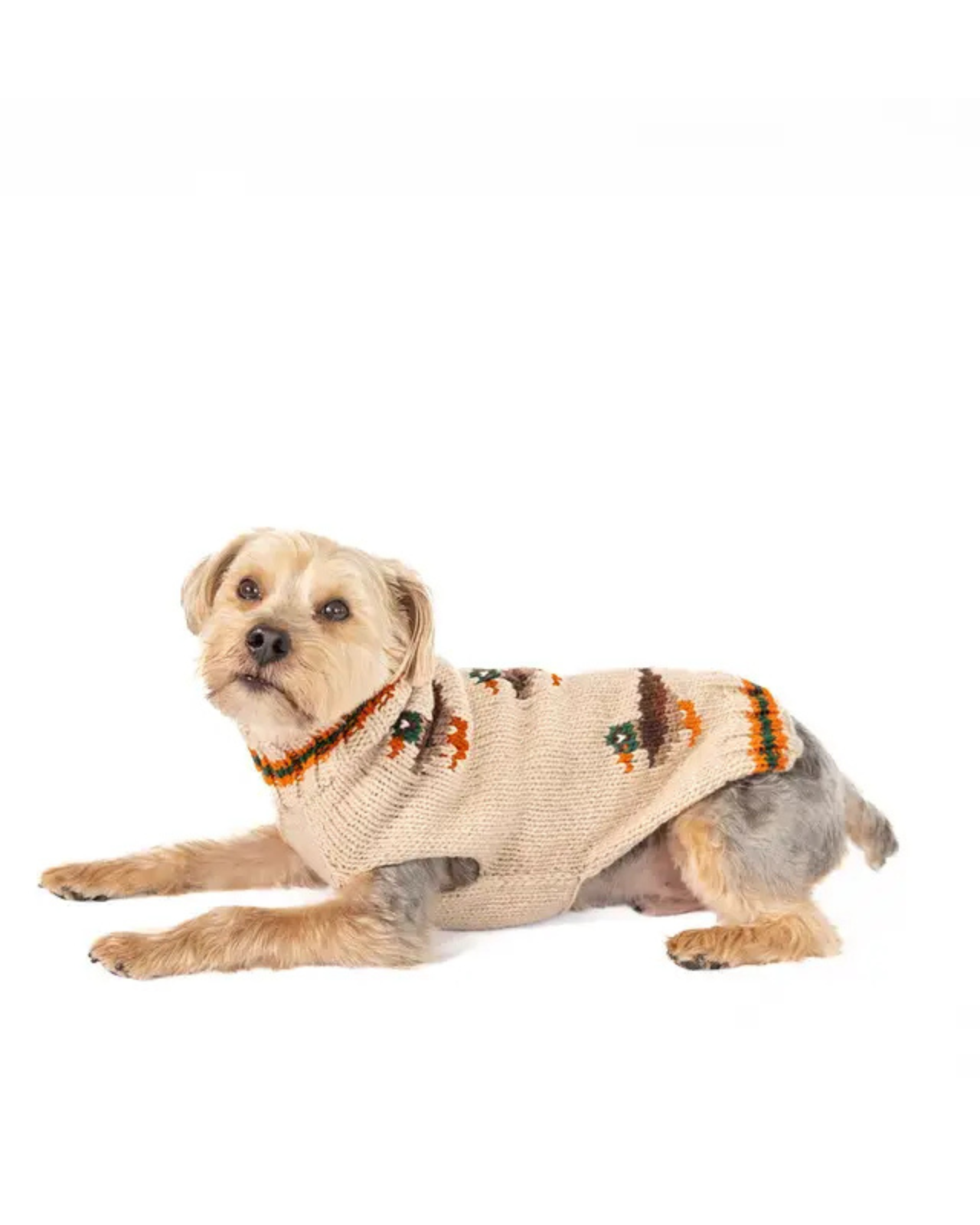 Lucky Duck Dog Sweater