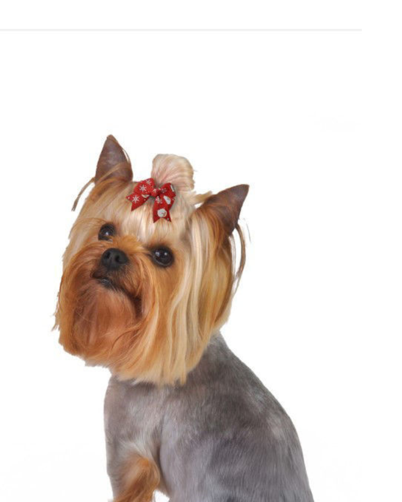 Santa's Snowflake Dog Hair Bow