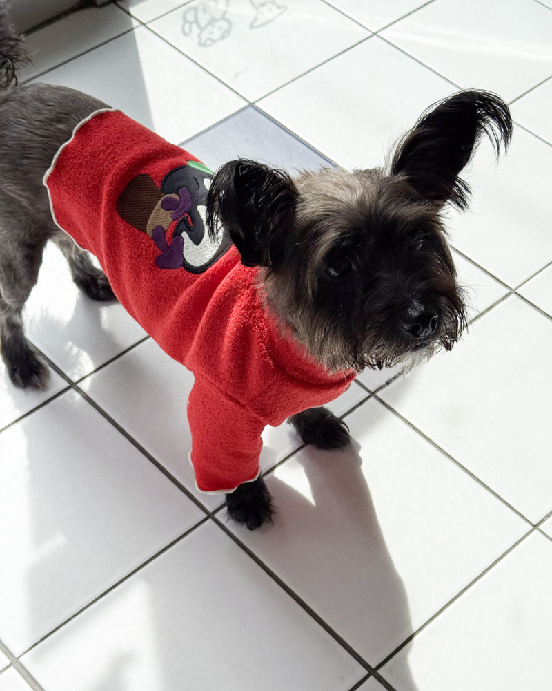 Skunk & Mushroom Dog Shirt