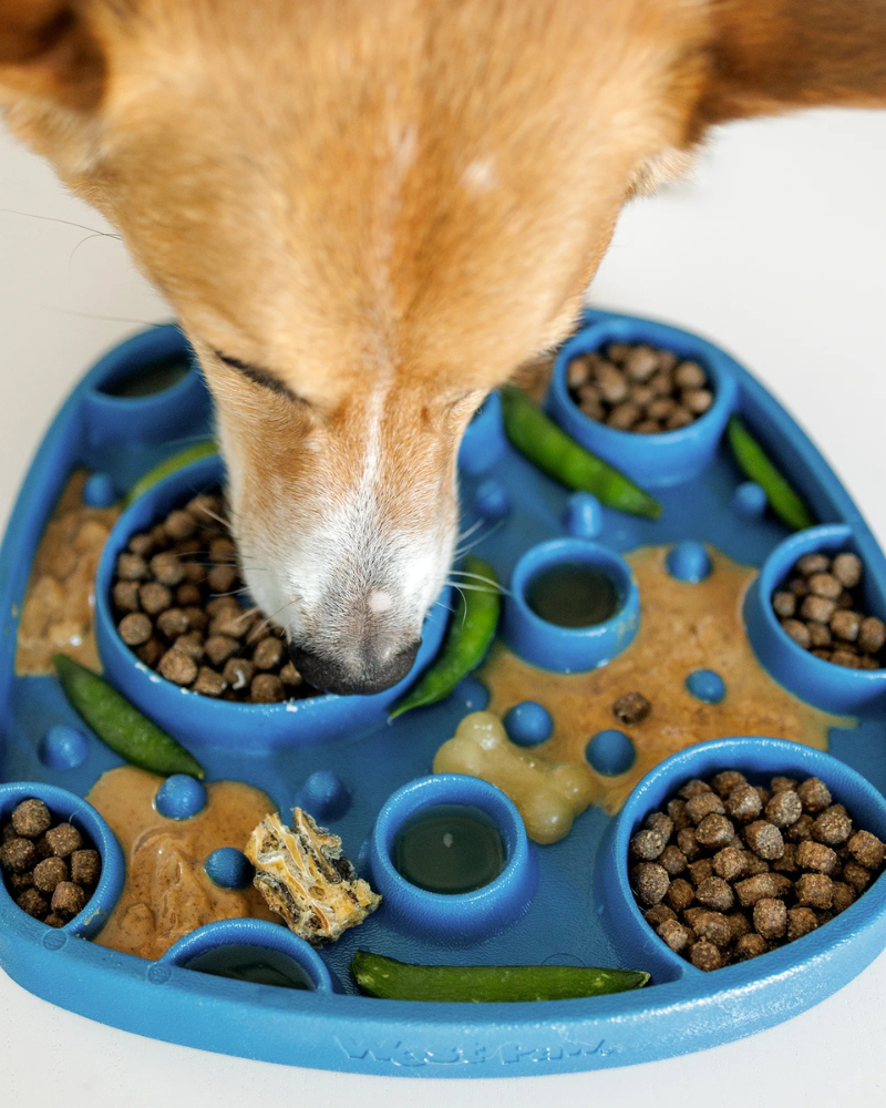 Feast Two-Sided Slow Feeder & Dog Lick Mat (Made in the USA)