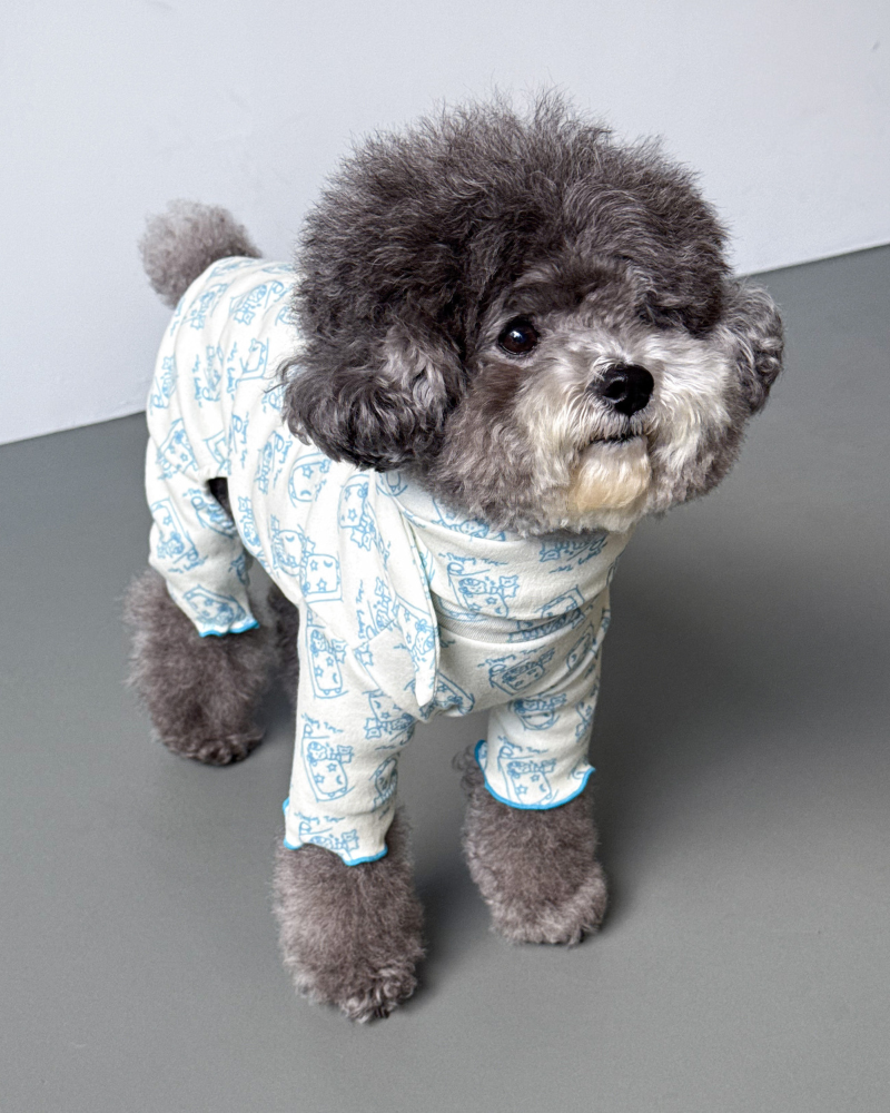 All-In-One Sleeping Time Dog Onesie