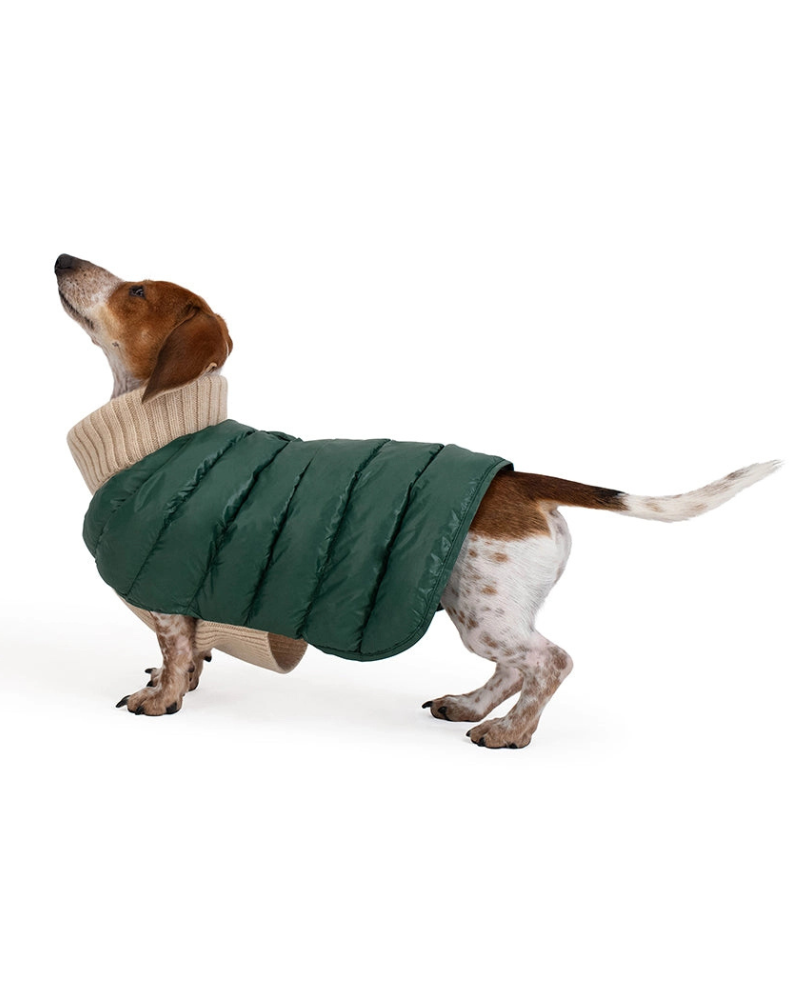 The Puffer Dog Sweater in Tan & Green