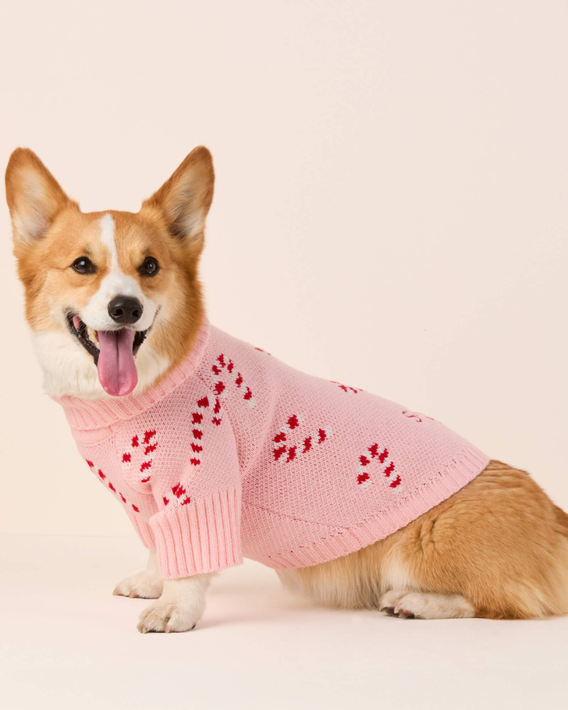 Pink Candy Cane Dog Sweater