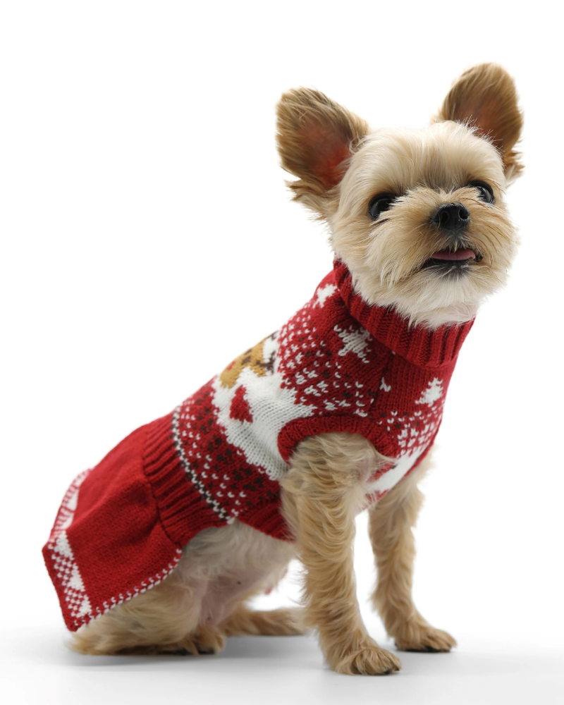 Reindeer Knit Sweater Dog Dress