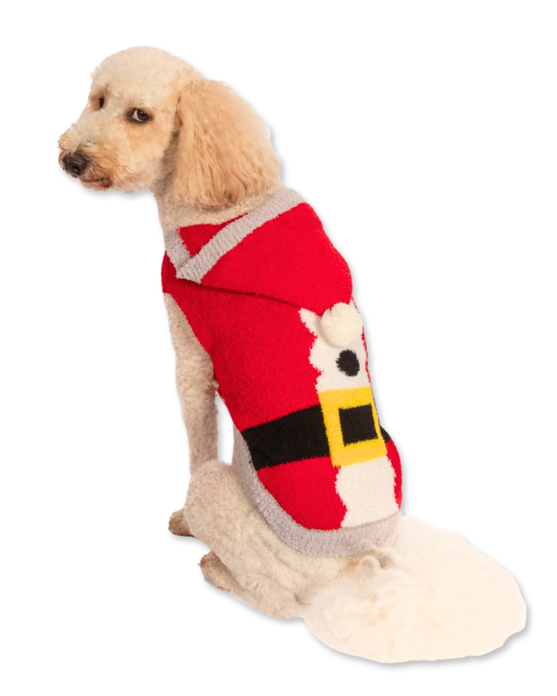 Chenille Santa Dog Hoodie