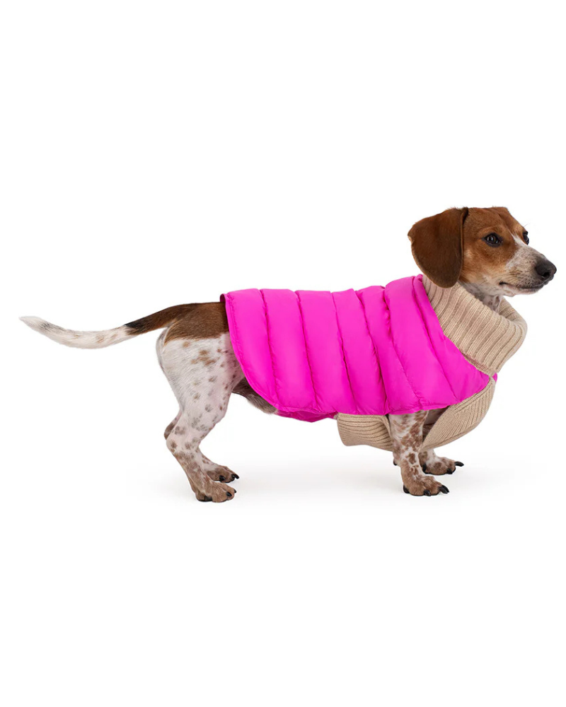 The Puffer Dog Sweater in Tan & Pink