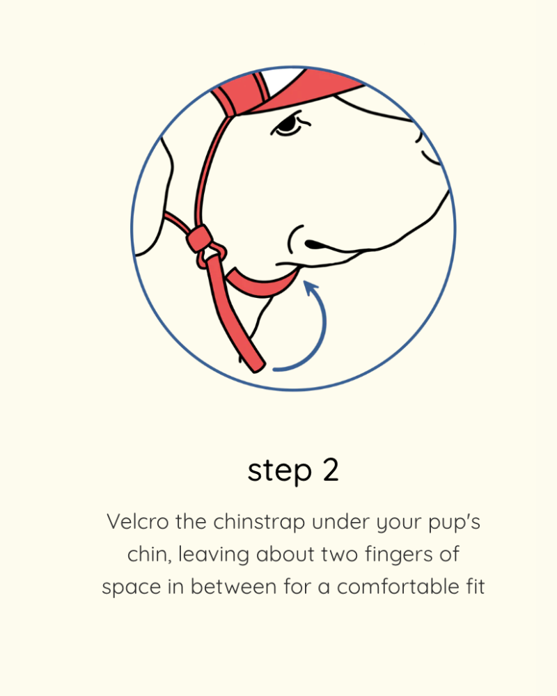 Brooklyn Varsity Pet Trucker Hat