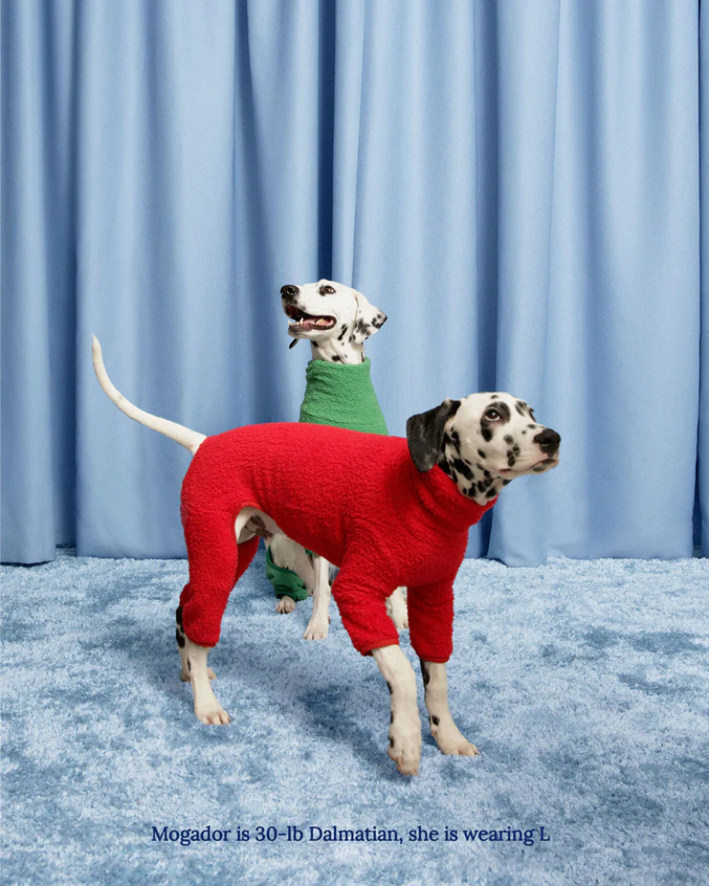 Hot Sauce Fleece Dog Onesie