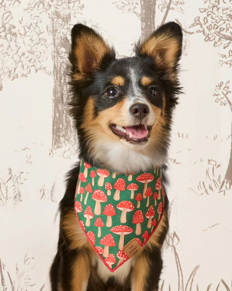 Mushroom Meadow Cotton Dog Bandana (Made in the USA)