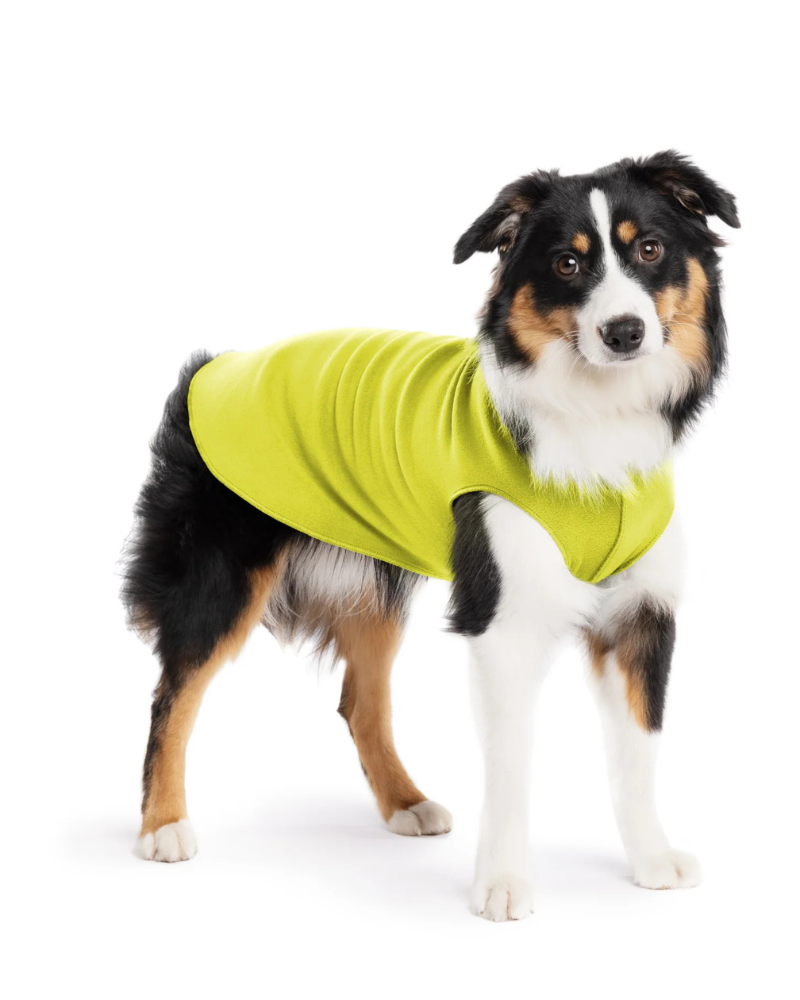 Pullover Stretch Dog Fleece in Avocado