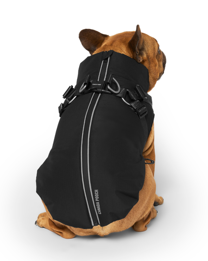 Complete Control Harness Winter Dog Jacket