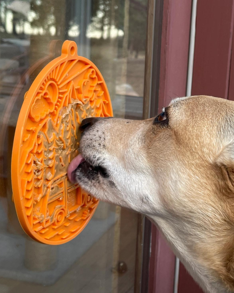 Camp Enrichment Lick Mat with Suction Cups (Made in the USA)