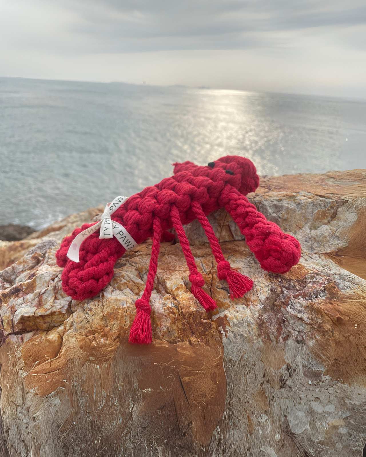 Lobster Sustainable Handmade Nautical Dog Rope Toy