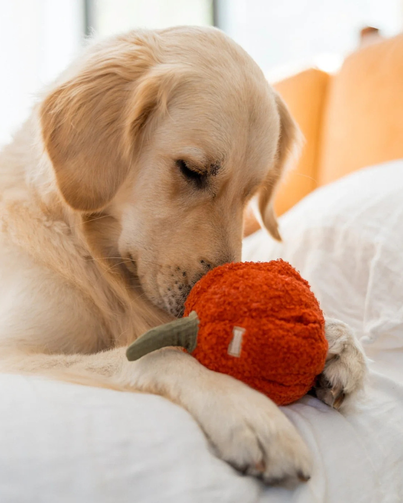 Red Pepper Enrichment Snuffle Dog Toy